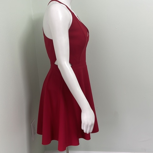 NBD x Naven Twins Open Eyes Fit and Flare Merlot Mini Dress Small Revolve NEW - Picture 5 of 10